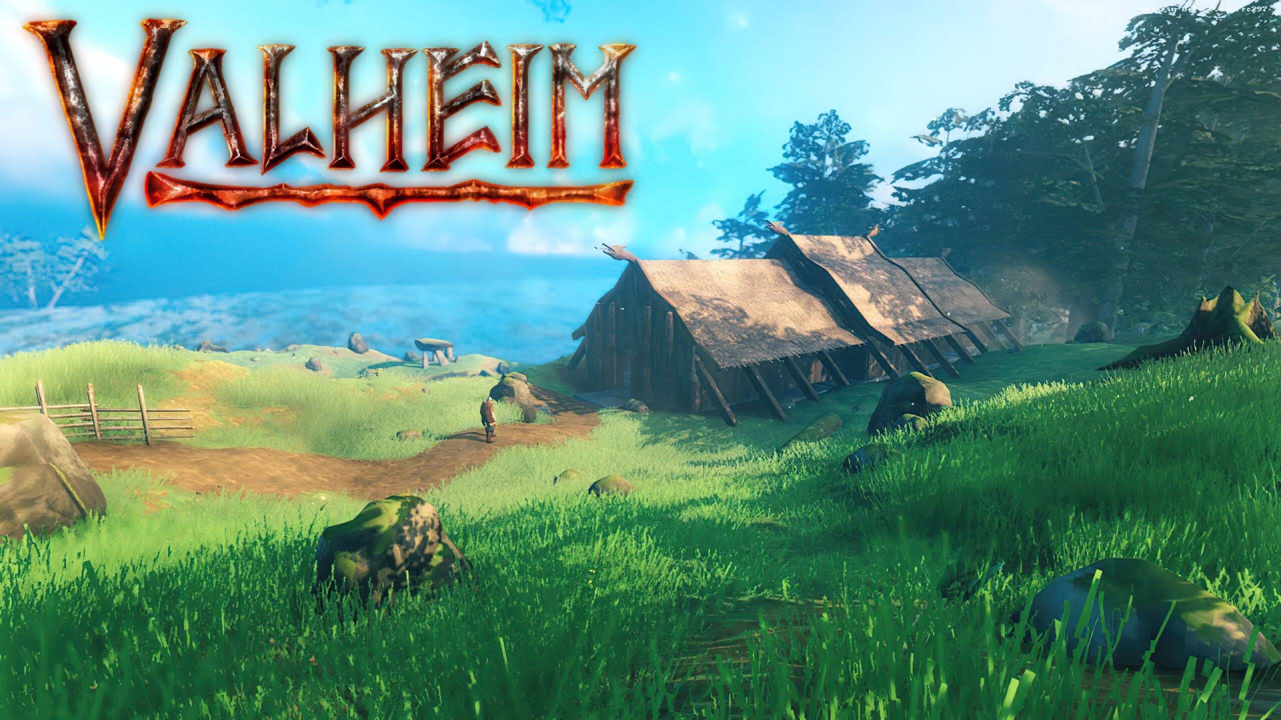 Serveur Valheim